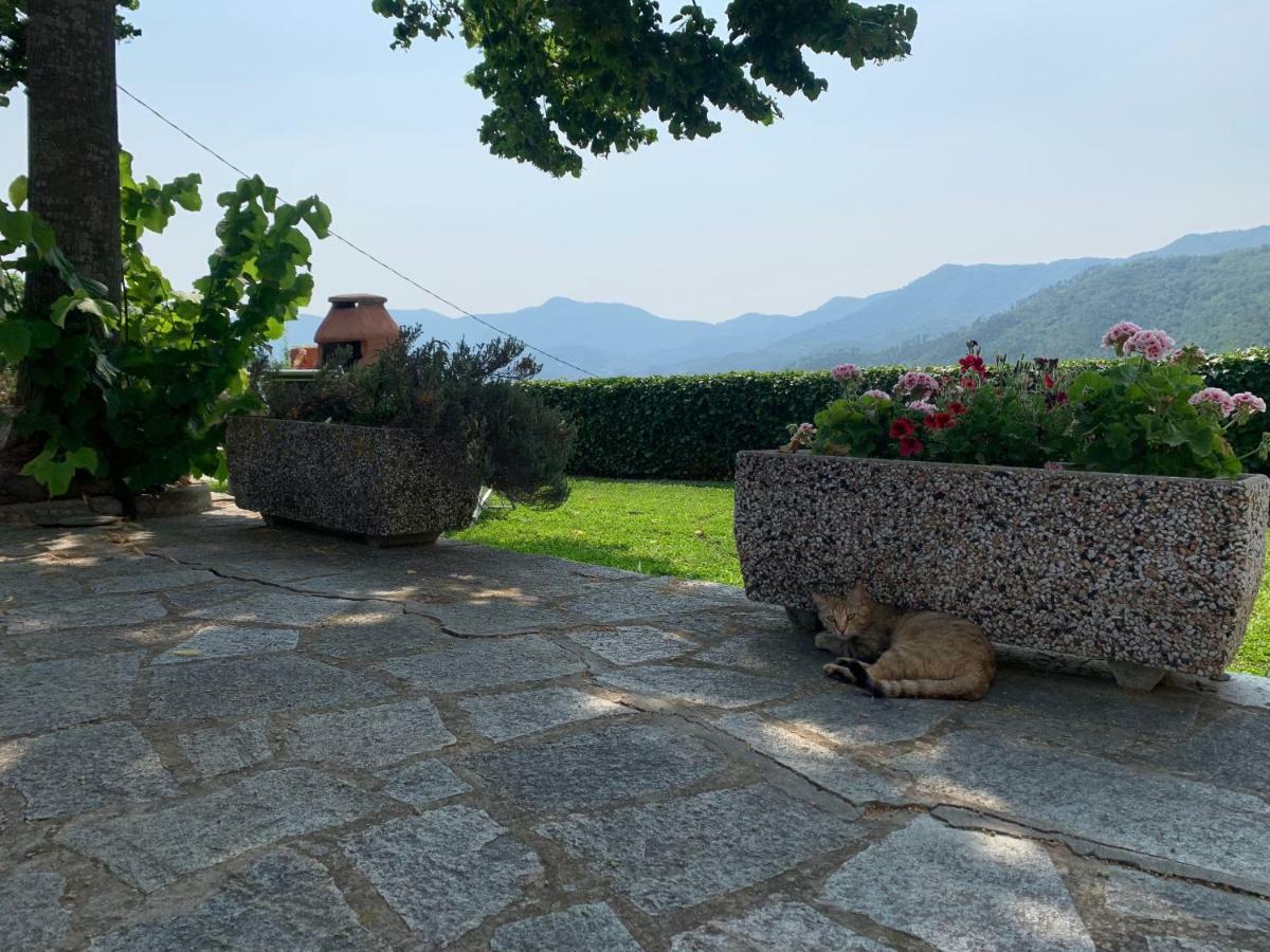 Agriturismo Gli Ulivi Garlenda Ngoại thất bức ảnh